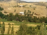 pictures2
